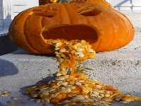 pumpkin puke.jpg
